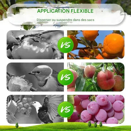 🚫Pochettes répulsives efficaces et sûres pour les oiseaux🦅
