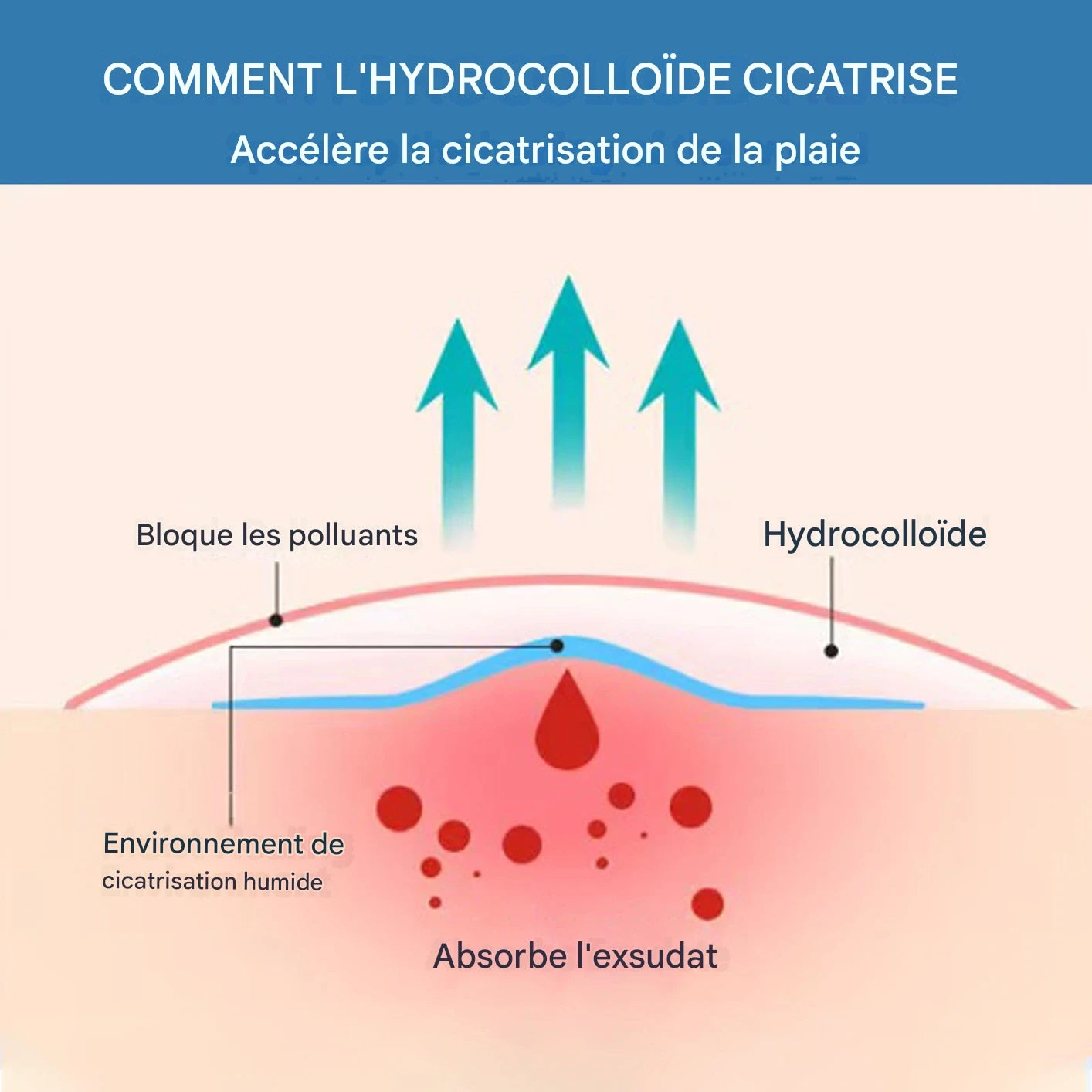 Traitement hydrocolloïde