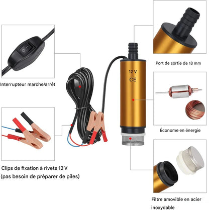 Pompe électrique de transfert d'huile et de carburant