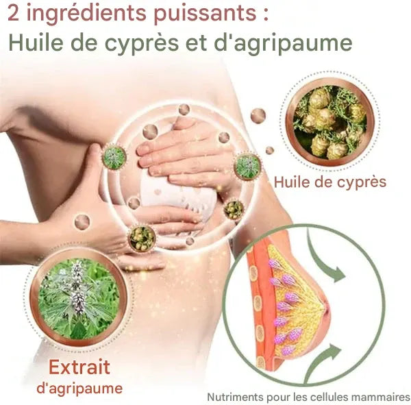 Patchs pour l'augmentation mammaire à la gelée royale — Sans danger pendant l'allaitement