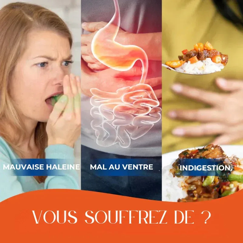 Patchs Detox Estomac aux multiples bienfaits